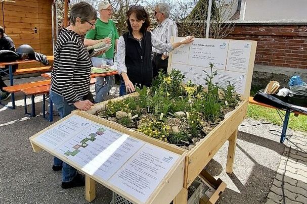 Pflanzentisch auf dem Aschheimer Frühlings-Flohmarkt