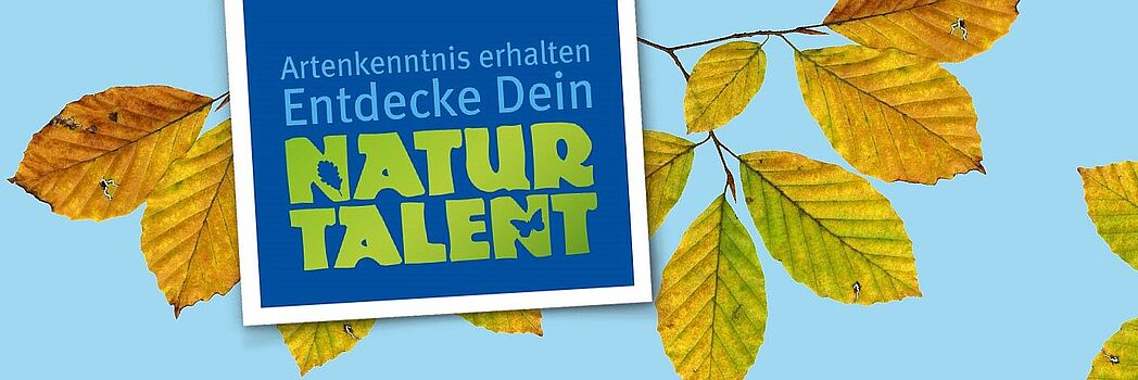 Entdecke dein Naturtalent