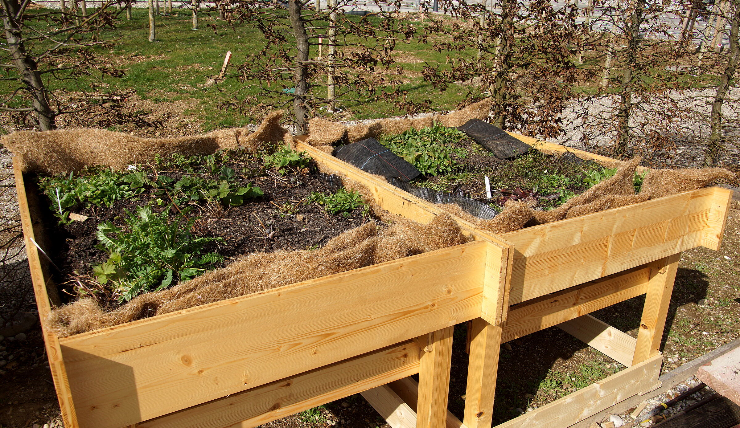 Pflanzentische für die Landesgartenschau Kirchheim